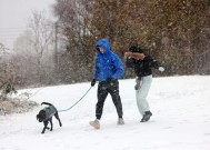 英国气象局发布降雪预警，新年期间降雨量将达到10英寸